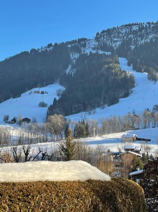 Charmant Studio + Jardin Vue Pistes Et Local Velo Praz-sur-Arly Exterior foto
